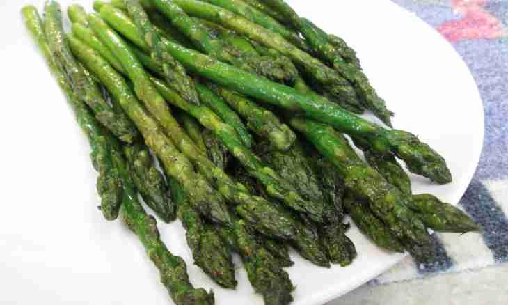 How to cook asparagus haricot dishes