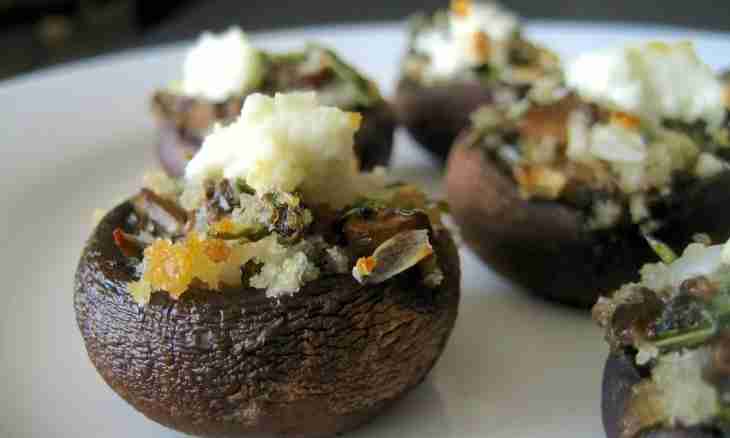 The prunes stuffed with cheese