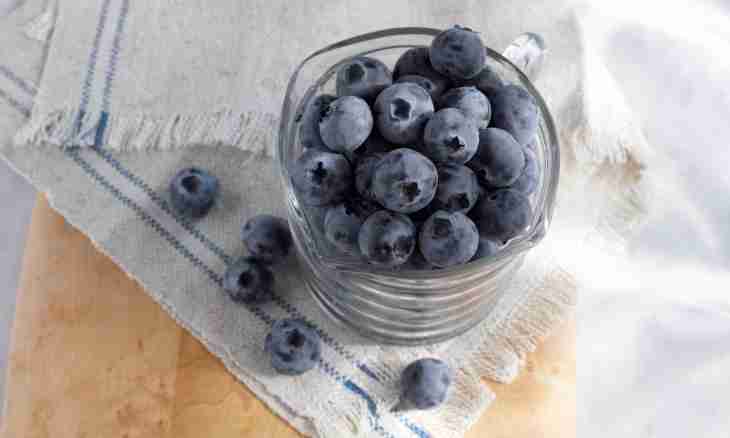 How to prepare bilberry for the winter