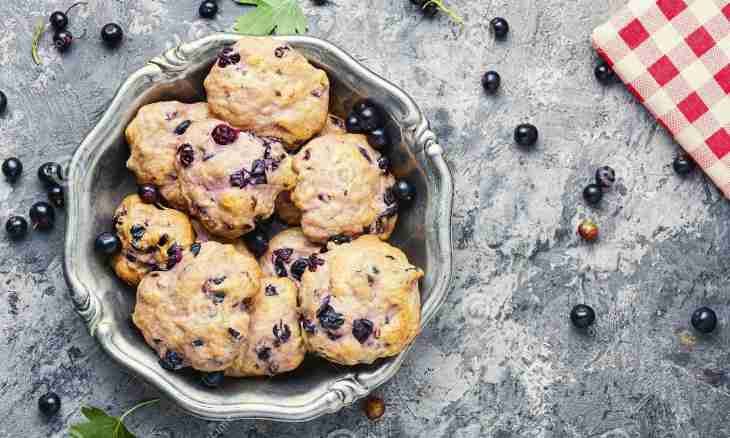 The recipe of cookies from blackcurrant