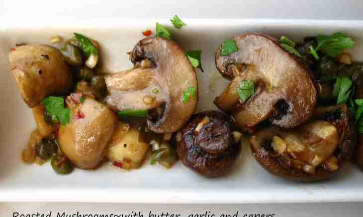 How to prepare the mushrooms stuffed with meat on coals