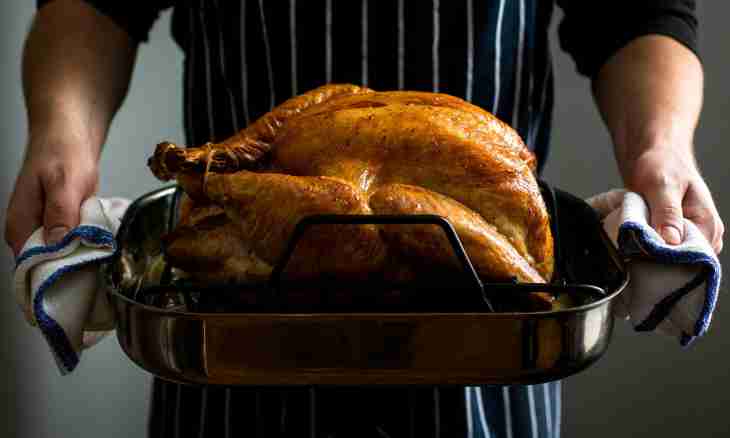 How to cook fillet of a turkey