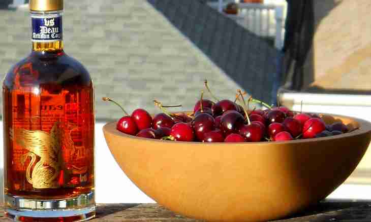 How to cook fruit liqueur from cherry