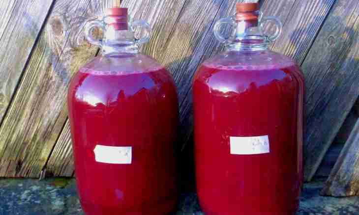 How to make home-made fruit liqueurs