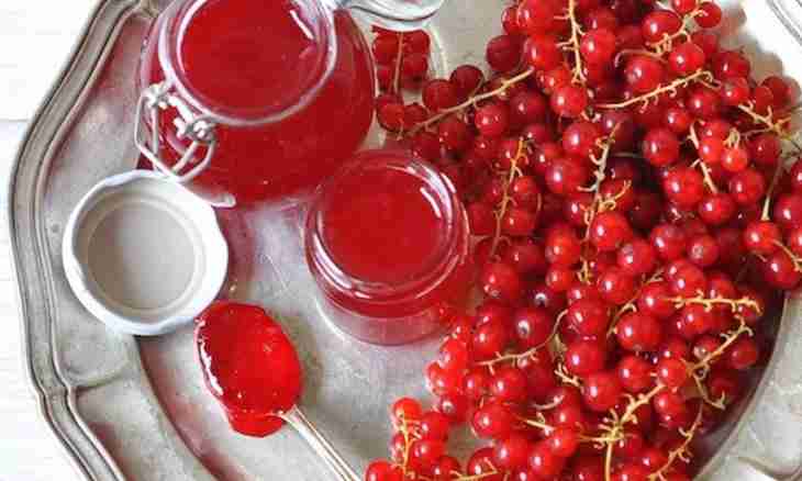 How to make currant compote