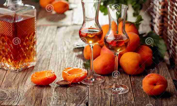 Wine from apricots