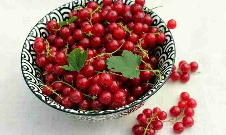 Currant and crimson fruit candy