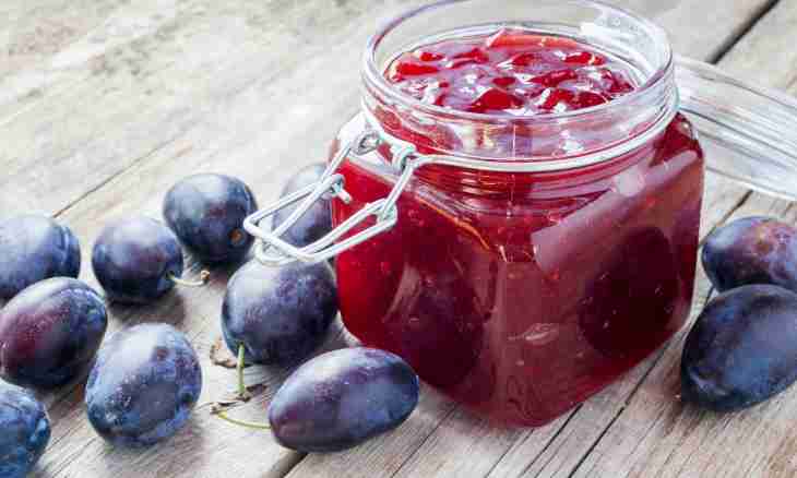 Recipes of jam from plums