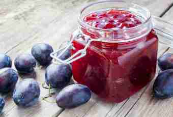 Recipes of jam from plums