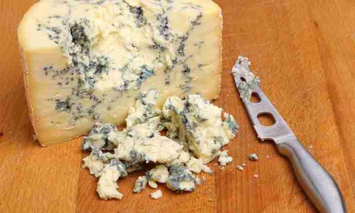 House cheese making and the recipe of a fragrant stilton – cheese with a blue mold. Part I