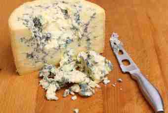 House cheese making and the recipe of a fragrant stilton – cheese with a blue mold. Part I