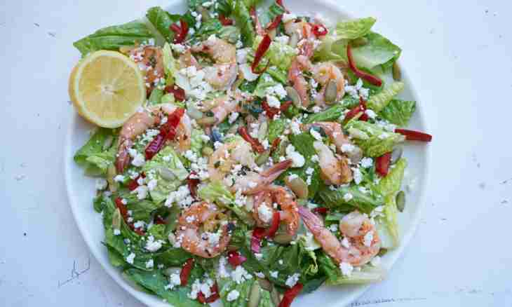 How to make light salad with seafood