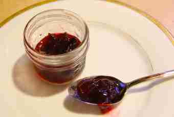What can be made with the begun to ferment jam