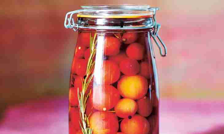 Easy ways of pickling of plum