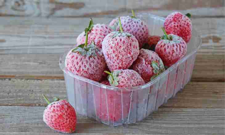 How to freeze a wild strawberry