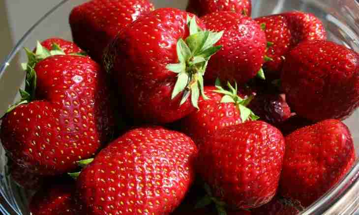 What to prepare from wild strawberry