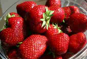 What to prepare from wild strawberry
