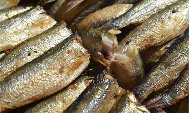 How to prepare canned fishes