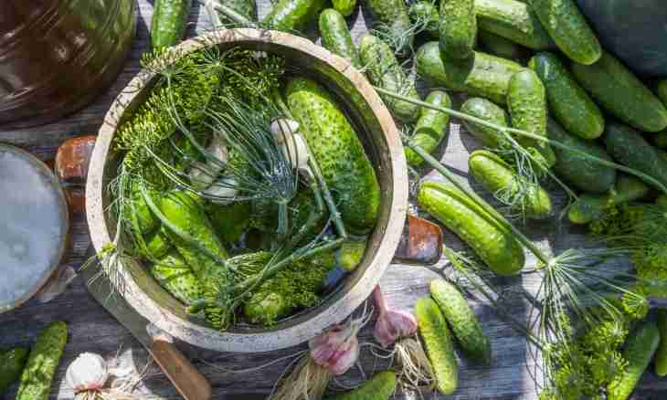How to salt cucumbers