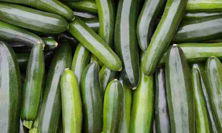 How to pickle squash and cucumbers on-syroyedcheski