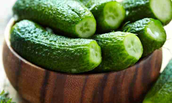 How to prepare large cucumbers for the winter