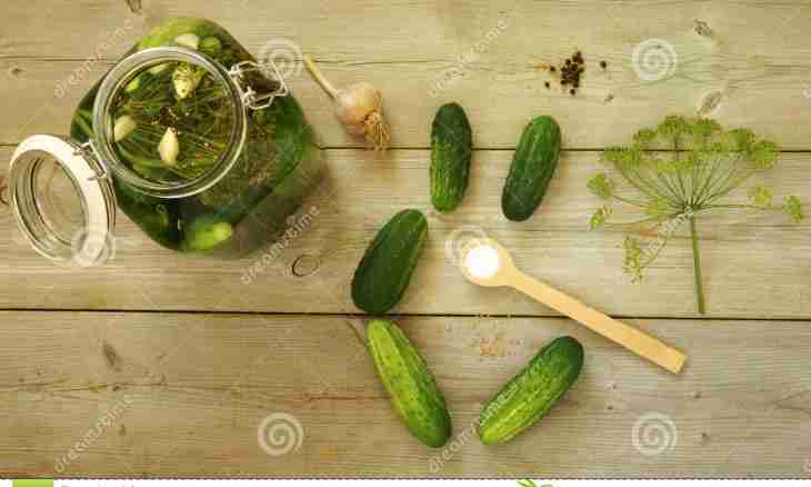 What to prepare from cucumbers overages