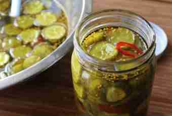 How to pickle small cucumbers