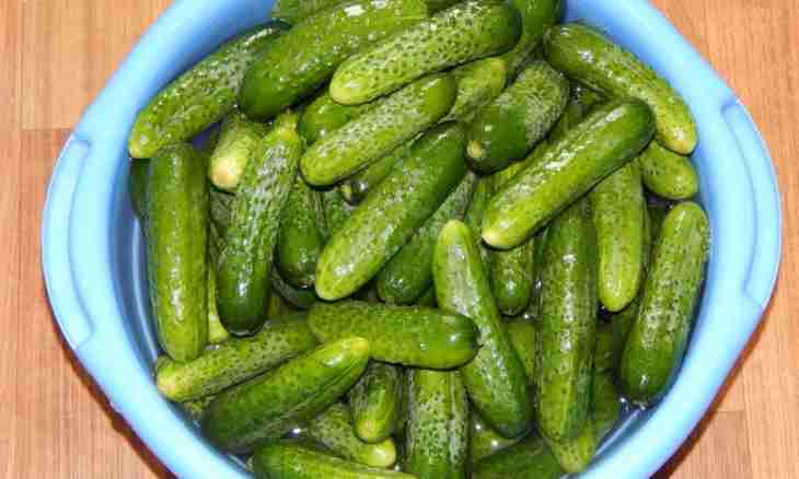 How to prepare cucumbers for the winter