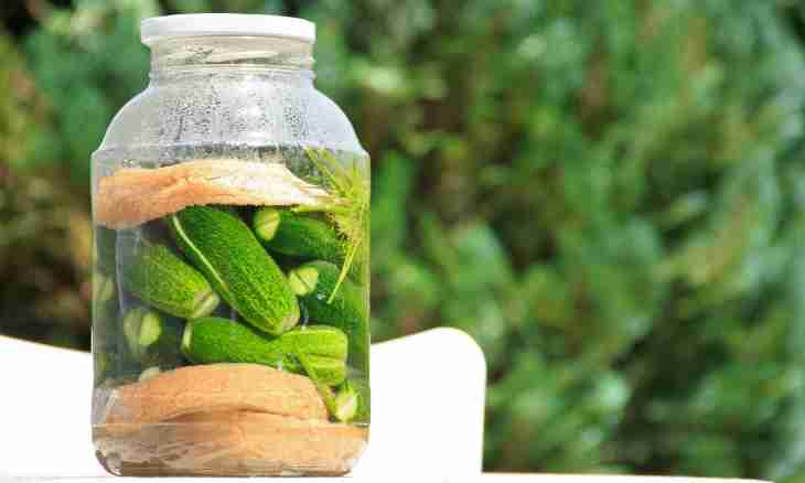 How to salt cucumbers in one-liter jars