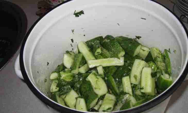 How to pickle cucumbers without sterilization