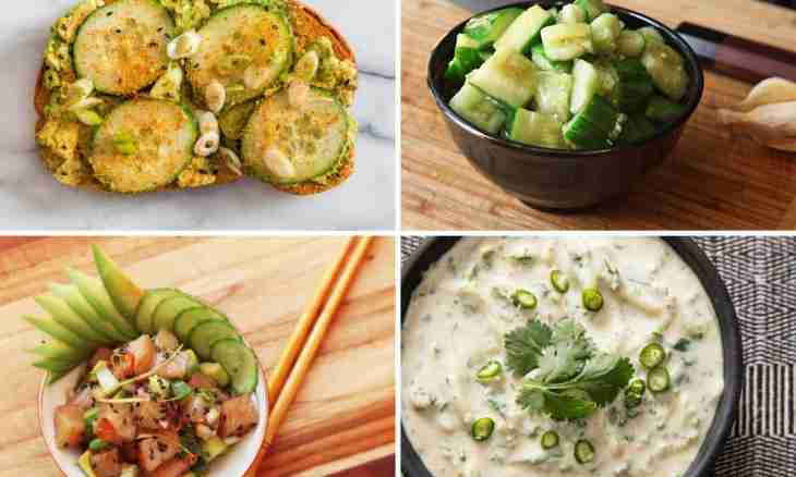 Preparations from cucumbers: new recipes