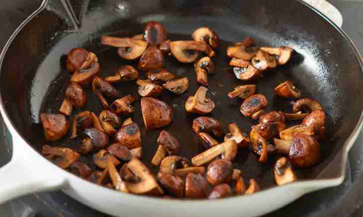 How to cook birch mushrooms