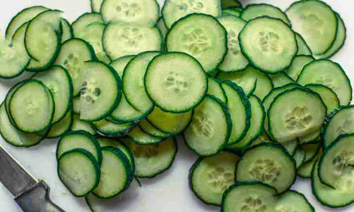 How to make rolls of the outgrown cucumbers for the winter