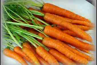 What to prepare from carrots