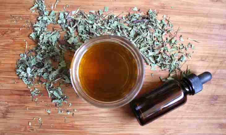 How to make a red rowan tincture