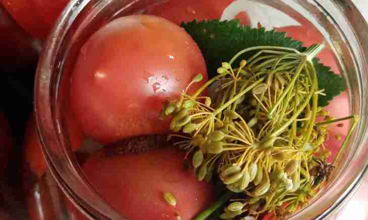 Marinated tomatoes with caraway seeds