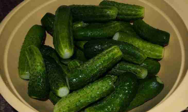 How to salt cucumbers cold-process