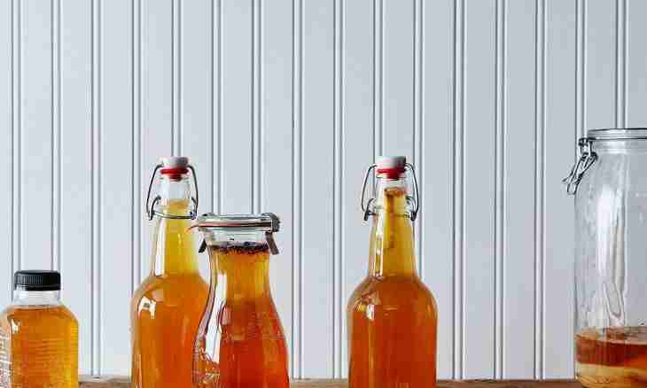 How to make home-made kvass on ferment