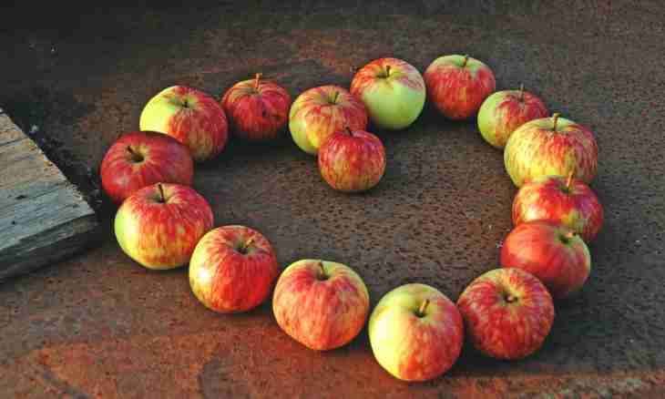 What to prepare from grade apples апорт