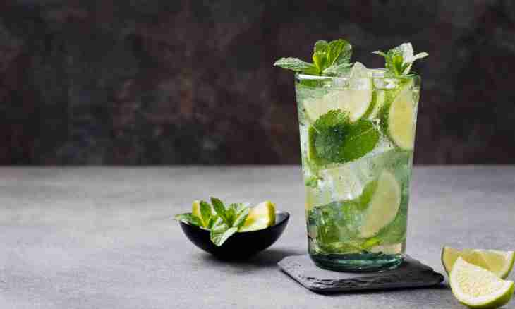How to make the refreshing summer cocktails with mint