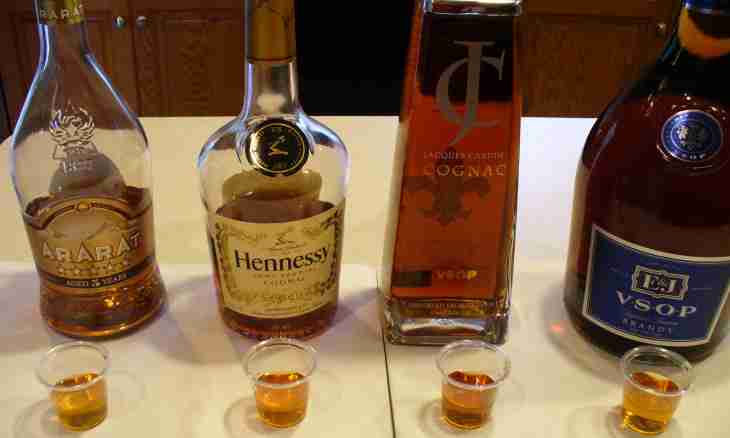 How to do home-made cognac