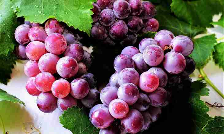 How to wring out grapes