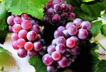 How to wring out grapes