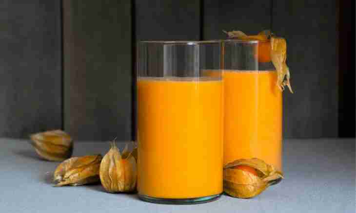 How to make pumpkin juice without juice extractor