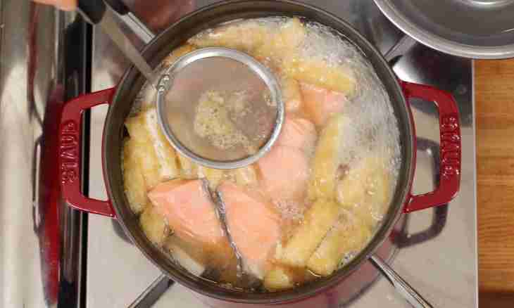How to boil a salmon