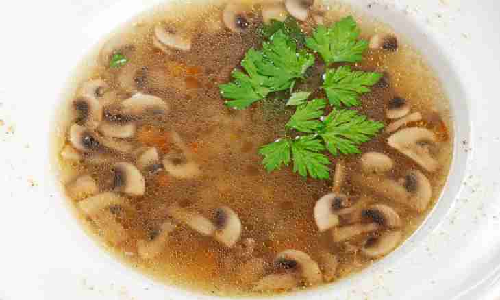 Mincemeat and mushrooms soup