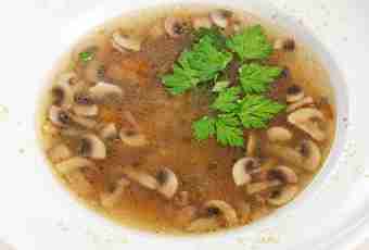 Mincemeat and mushrooms soup