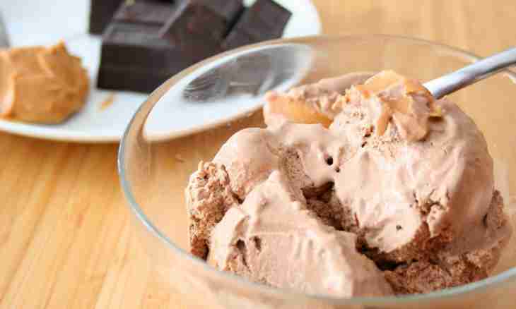 How to make dietary ice cream in house conditions