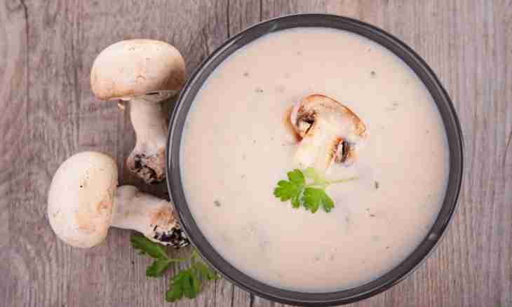 Recipes for a mushroom soup