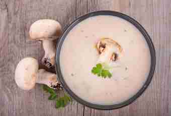Recipes for a mushroom soup